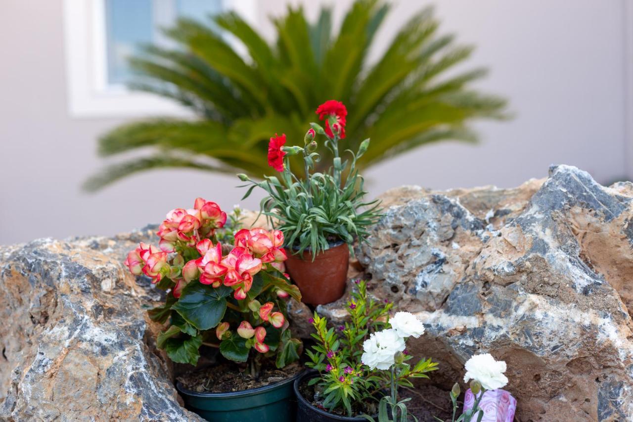 Nightingale Villa & Suites Corfu Gazátika エクステリア 写真